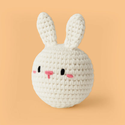 Mini Tavşan Örgü Kiti - Amigurumi Tığ Kiti