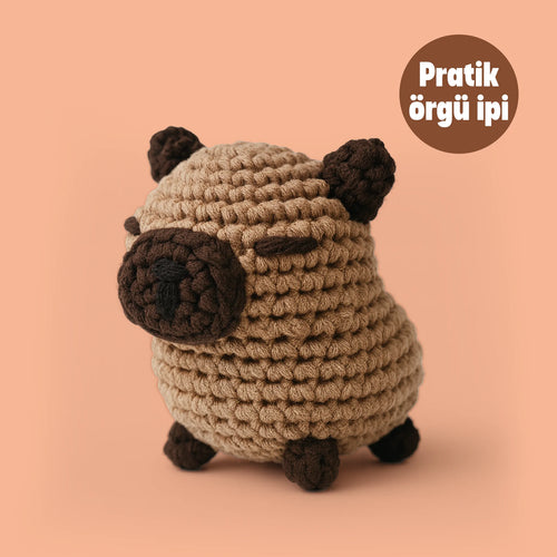 Kapipara Tığ Kiti - Pratik Örgü İpi